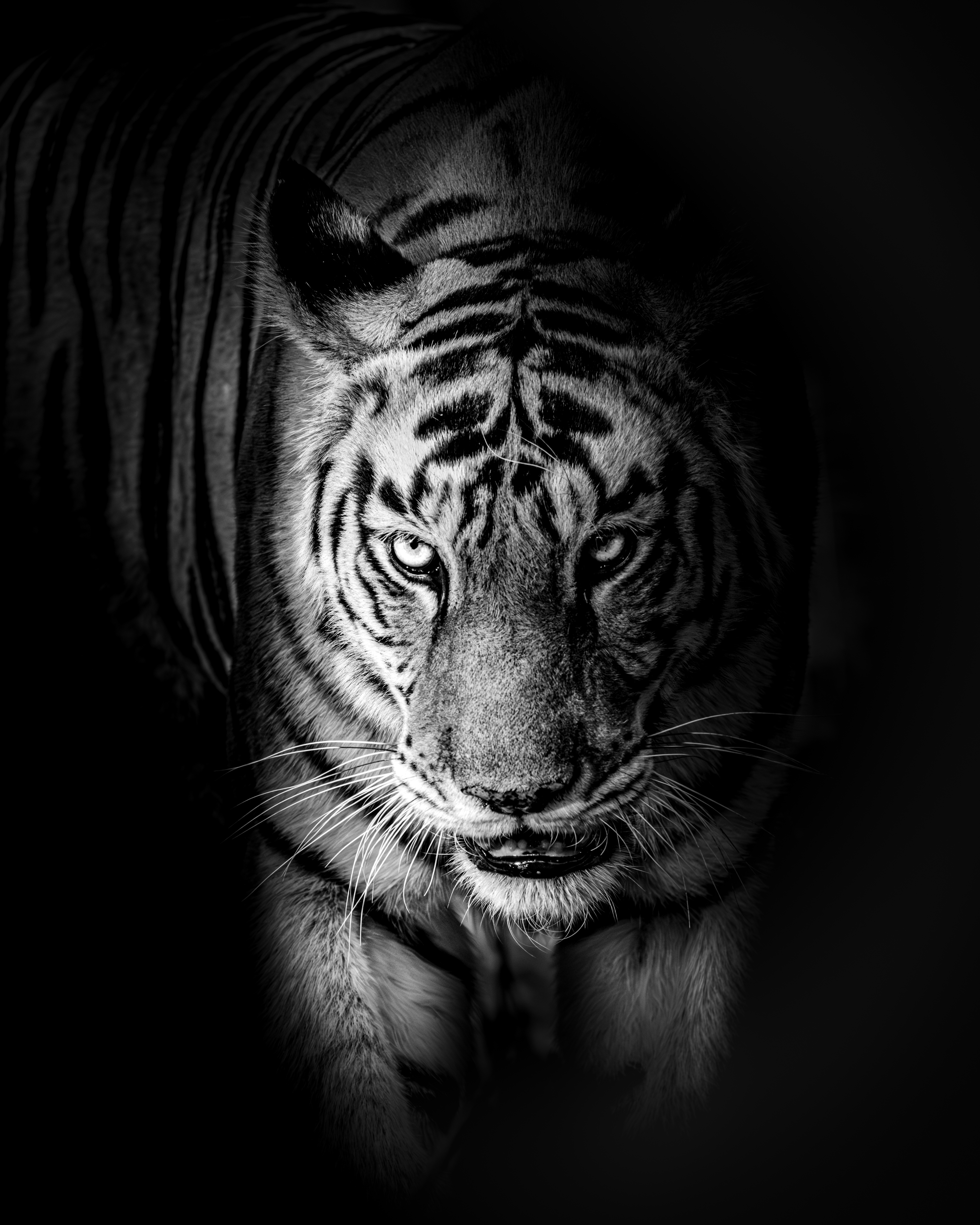 The Art of Light